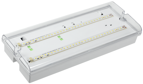 62063c2671141c2e7772358b