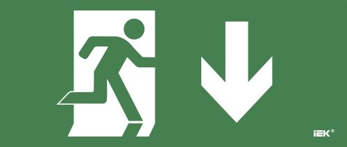 66c5beda3e20b6fec06db419