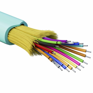 olvar9h1l91efftw12vim7yzzyt9a22y