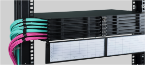 49M-S2-24-LC-M8-MA-07BL-LL_2