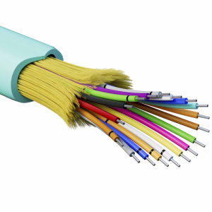 eo5gb9a3397zmf7a4ydqqpzh7hie7txo