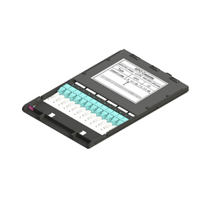 49M-30-12-2L-00-06BL_1