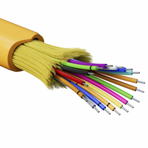 e58r6m12fswkil2i8u1bb7afulu1fwmm