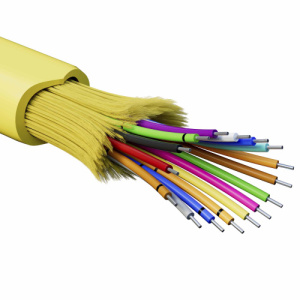 zpqtulkkf3hyvk7yy0gxf3p0gv0ejlvt