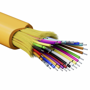 24ylsx3hjy305p488gmbd7gmpw4hu2vl