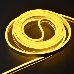 63074fef73176265c5d4fe06