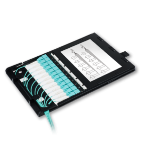 49M-30-12-2L-00-06BL_0