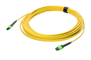 43M-S2-08-M8-M8-070-FFA-10_0