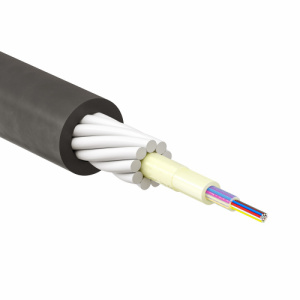 palmrho5k63esv0s708251lbpc2ef1ei