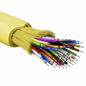 wqouvj97ngc0okcmsskirjcmdxhcwd5x