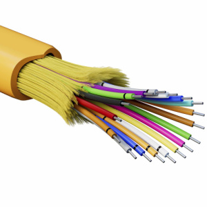 54d92gvn2kk2zct45pyscx1lfimvlmc3