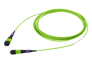 43M-50-08-M8-M8-007-FFB-55_0