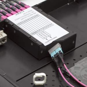 m5zjv2yhtcpq3gvlz8dgqqknfw8kuck2